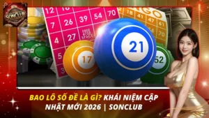 Bao Lô Số Đề Là Gì