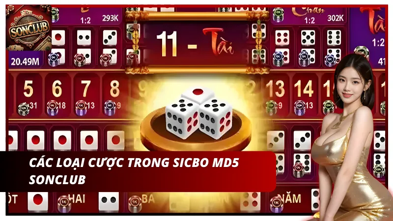 Sicbo MD5 Sonclub thu hút người chơi bởi sự kết hợp giữa may mắn và kỹ năng